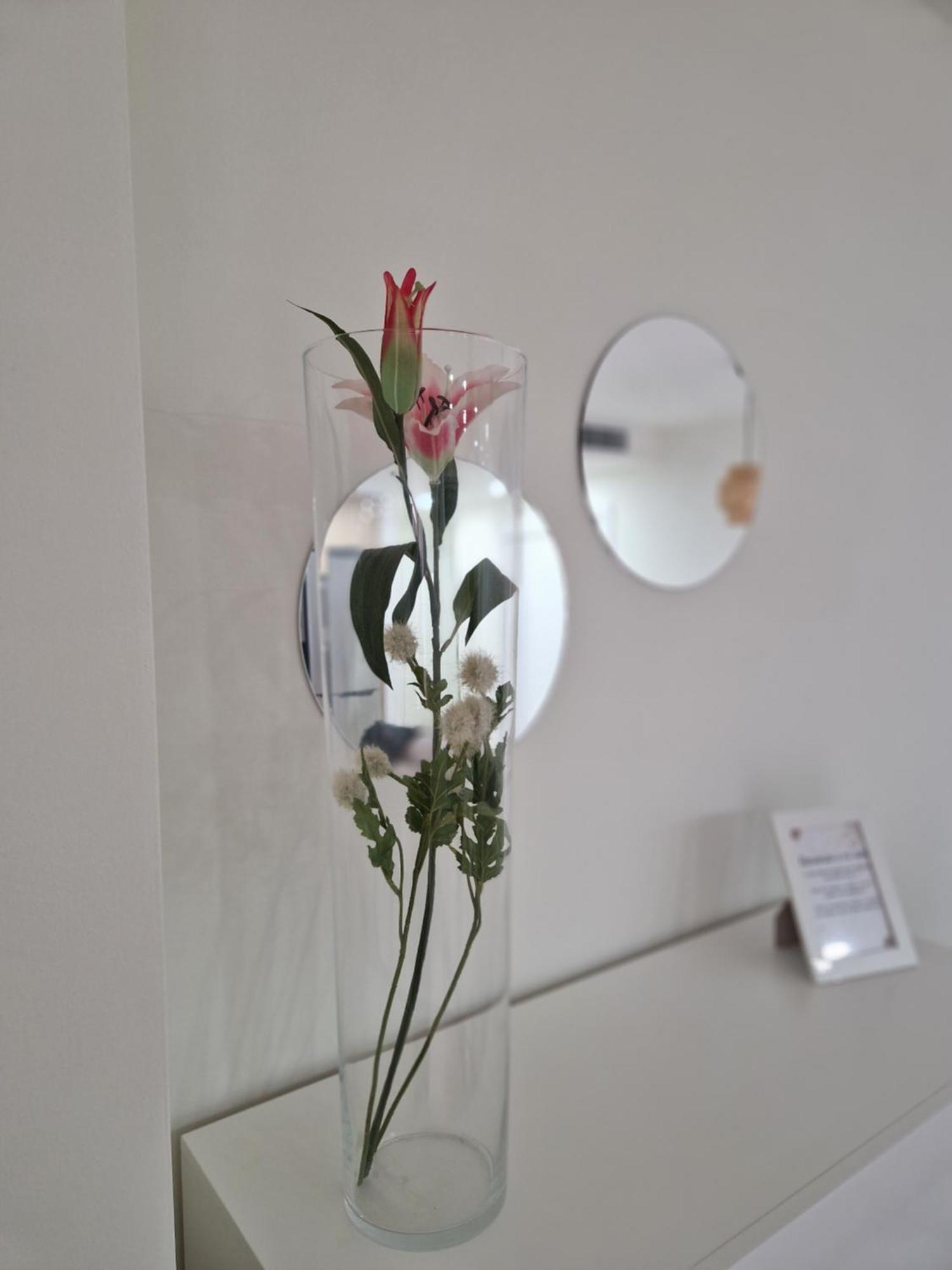 Apartamento V27 Baeza Bagian luar foto